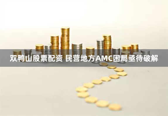 双鸭山股票配资 民营地方AMC困局亟待破解