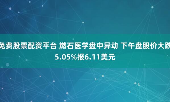 免费股票配资平台 燃石医学盘中异动 下午盘股价大跌5.05%报6.11美元