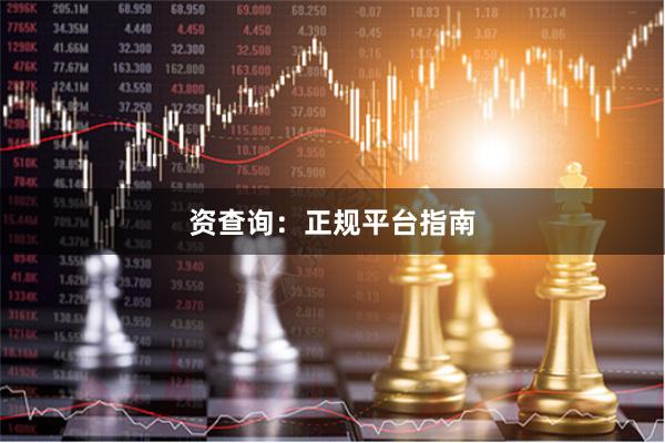 资查询：正规平台指南