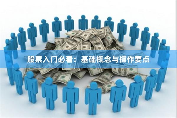 股票入门必看：基础概念与操作要点