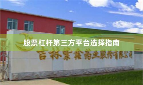 股票杠杆第三方平台选择指南